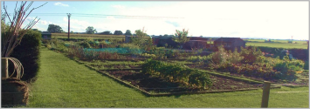 Scruton Allotments